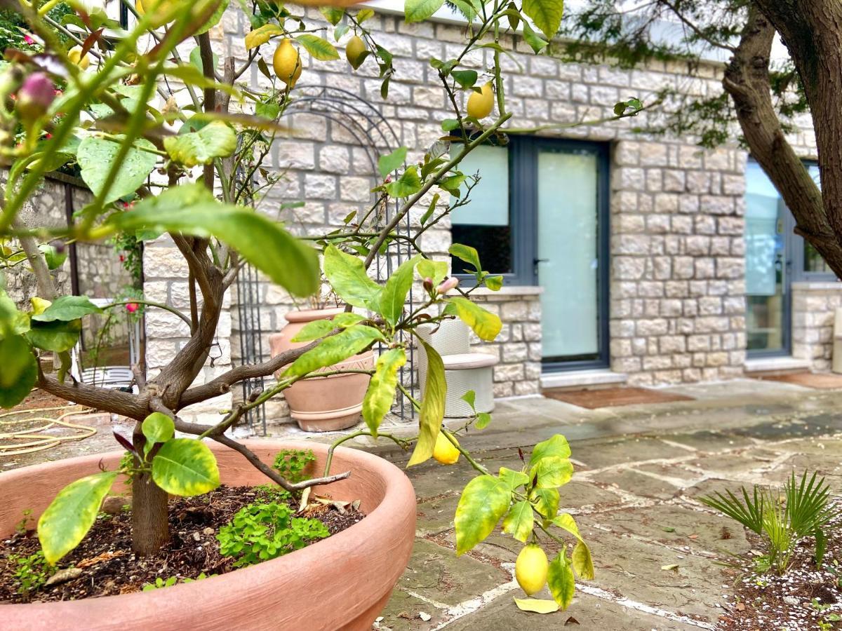 סירולו Le Due Palme Bed & Breakfast מראה חיצוני תמונה