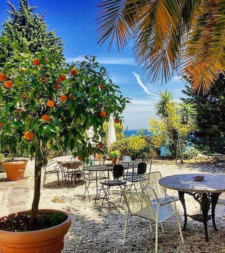 סירולו Le Due Palme Bed & Breakfast מראה חיצוני תמונה
