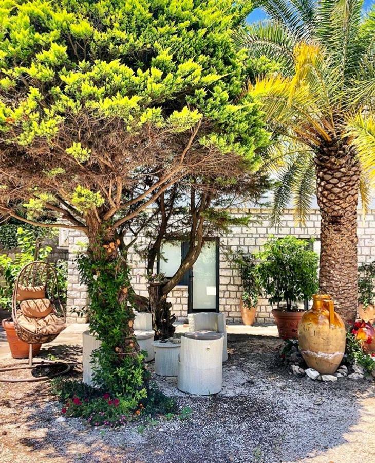 סירולו Le Due Palme Bed & Breakfast מראה חיצוני תמונה